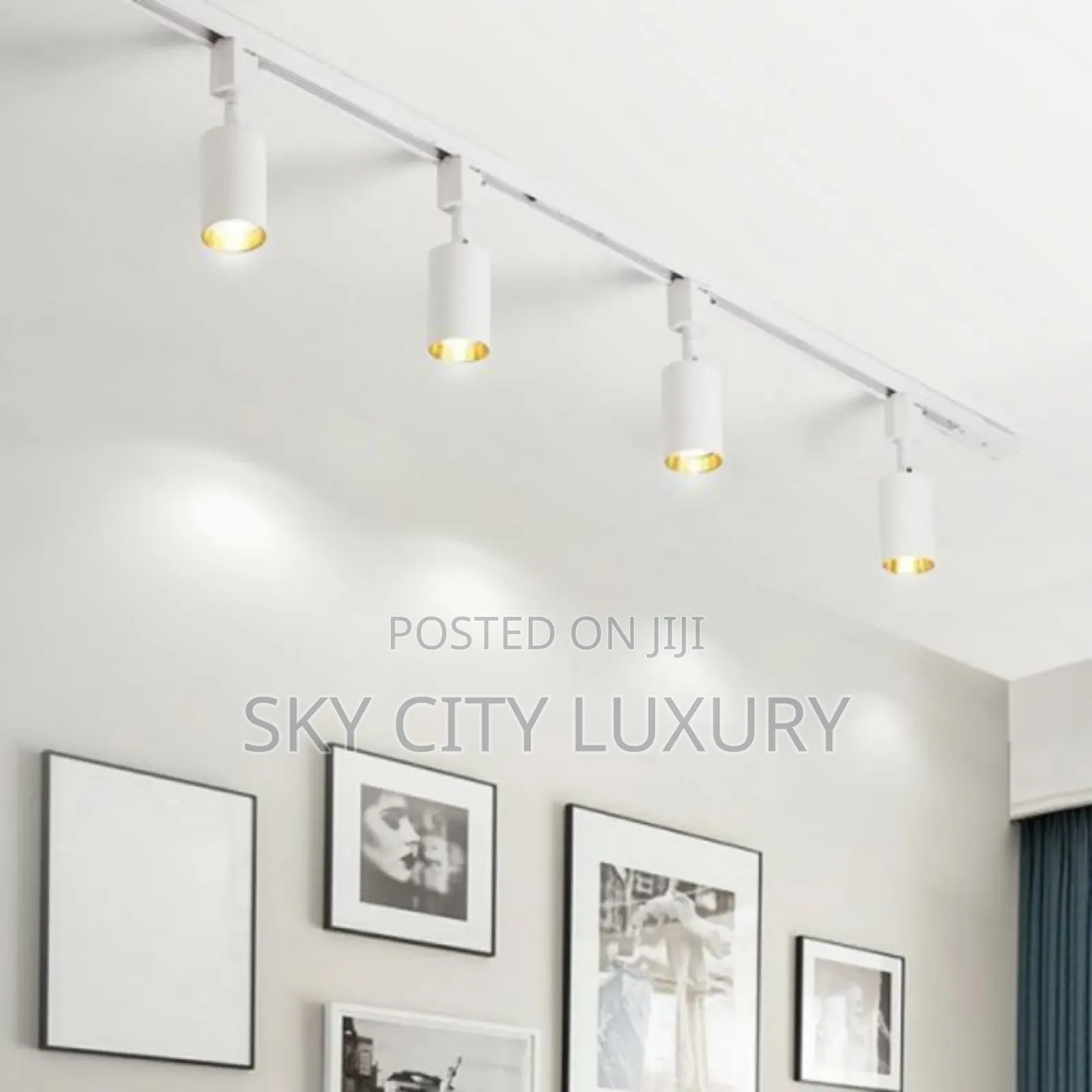 4in1 Astro Led Track Light