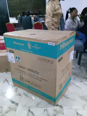 Single Door Chest Freezer Hisense