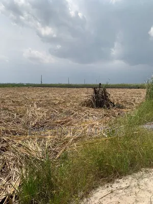 6 Plots of Land in Sun View Estate Ajah