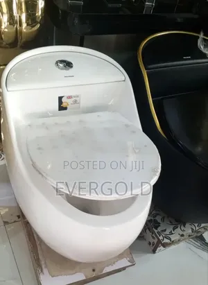 Smart Water Closet With Original Flushing System