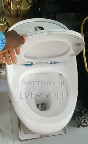 Smart Water Closet With Original Flushing System