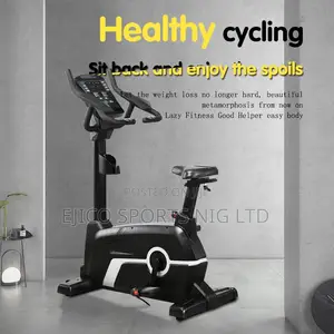 Standard Commercial Magnetic Bike