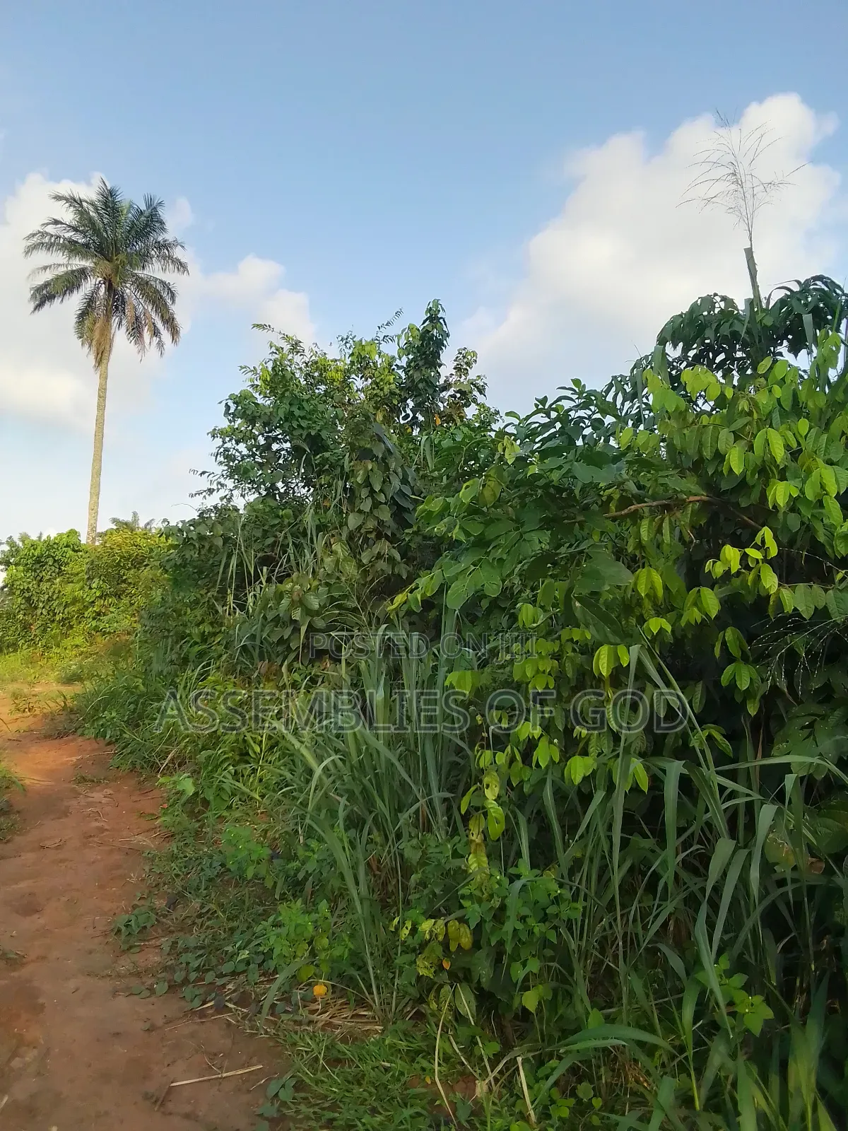 Plot of Land for Sale