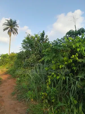 Plot of Land for Sale