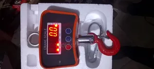 Crane Scale 500kg