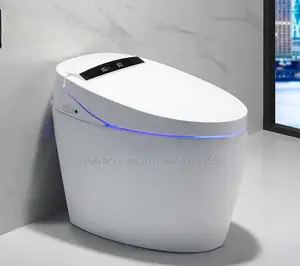 Smart Wc Electric Senor and Remote Control