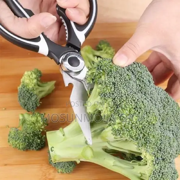 Multifunctional Stainless Steel Kitchen Scissors