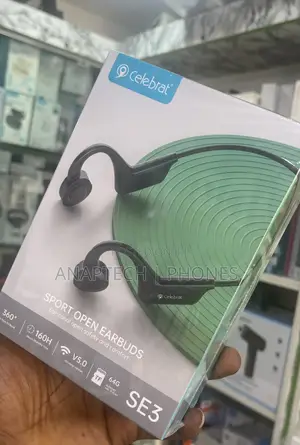 Round Earbud