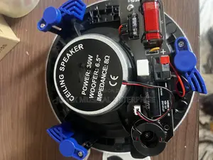 Dart 30w Ceiling Speakers
