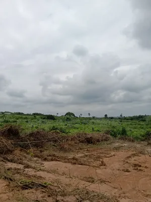 An Affordable Dry Plots of Land for Sale