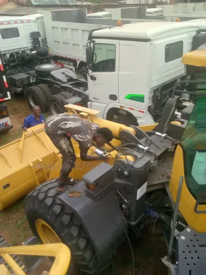 Panting and Maintainance of Pay Loader