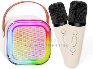 Double Karaoke Mic