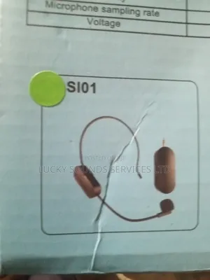 Overhead Wireless Microphone