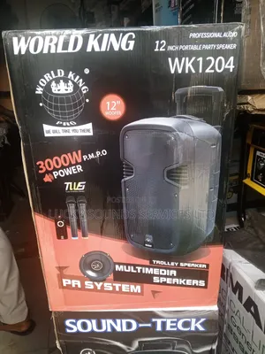 Pa System Professional Speaker