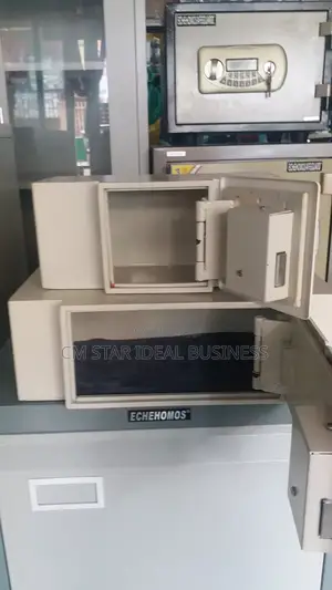 Disguising Safe 9 Inches. Universal Used