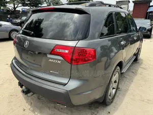 Acura MDX 2009 Gray
