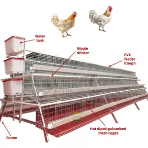 96-Birds Capacity Poultry Cage With 20-Year Guarantee
