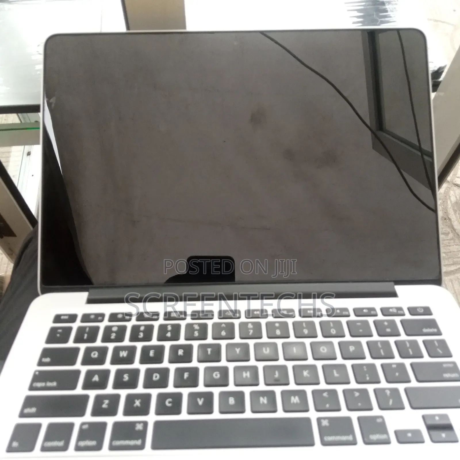 Macbook Decolonized Screen With Dirty Ink Stains