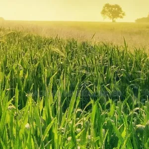 Photo - 3,500 Acres of Industrial Land