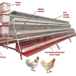 Durable 96-Bird Cage Max Efficiency, 20-Year Guarantee