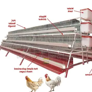 Top-Quality 96-Bird Cage: Built to Last, 20-Year Guarantee!