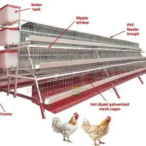 Efficient Poultry Farming 96-Bird Cage, 20-Year Guarantee