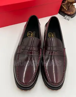 Luxury Gucci Shoe