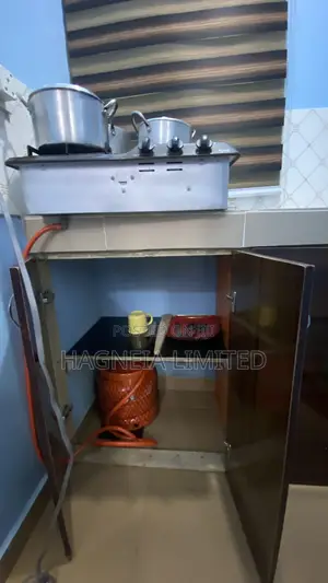Executive Apartment