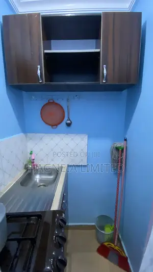 Executive Apartment