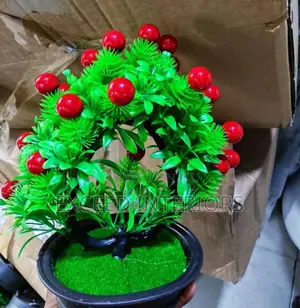Beautiful Imported Flowers