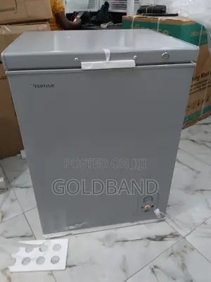 Best Original 142L Fc180sh Hisense Chesr Freezer