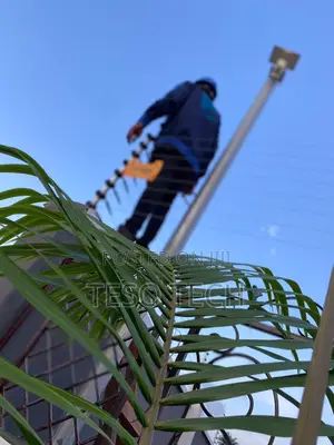 Electric Fence And Installation