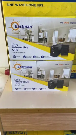 Eastman UPS 650va