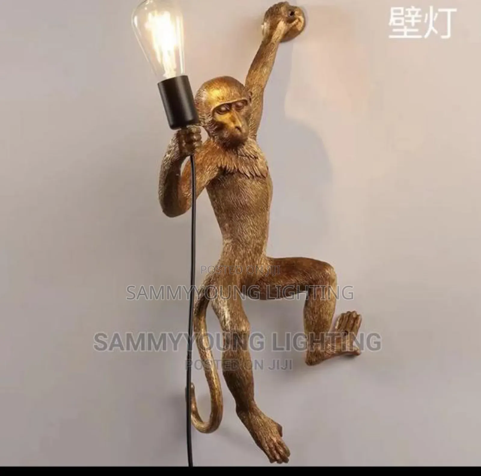 Quality Monkey Design Wall Bracket Light
