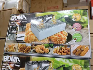 Electric Deep Fryer .