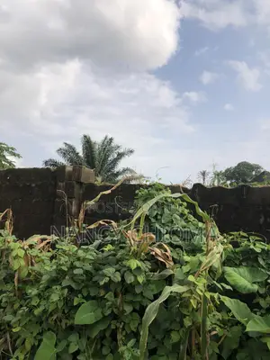 Land at Agric Quaters