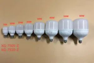 LED E27 Head or Screw Head Bulbs