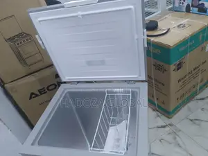 Hisense Deep Freezer FRZ FC190SH-150L