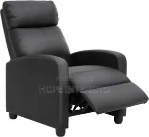 Recliner Cushion Chair