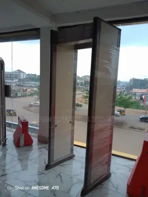 Photo - Walk Through Metal Detector