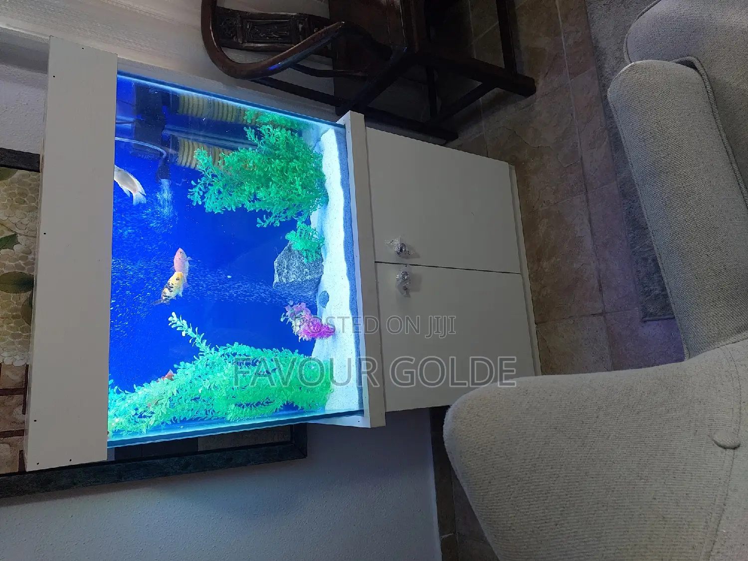 House Aquarium