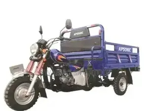Original Cargo Tri Cycle
