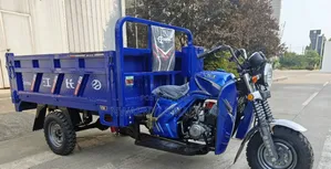 Pick Up Vehicle TRI Cycle