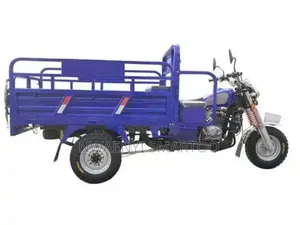 TRI Cycle Cargo Vehicle