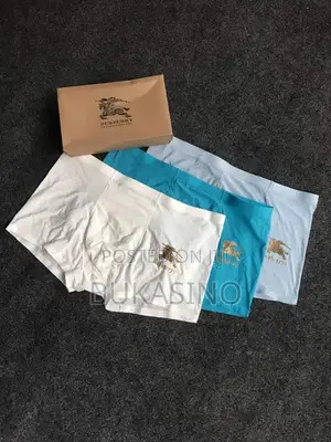 Boxers at Affordable Price Both Wholesale and Retail Price