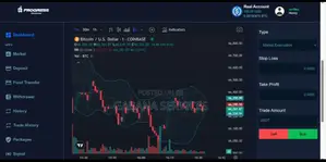 Broker Investment Website