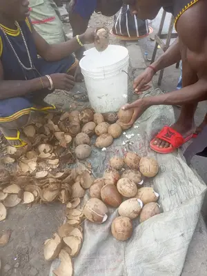 Pure Coconut Water