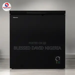 Hisense FC320SH 250L Chest Freezer