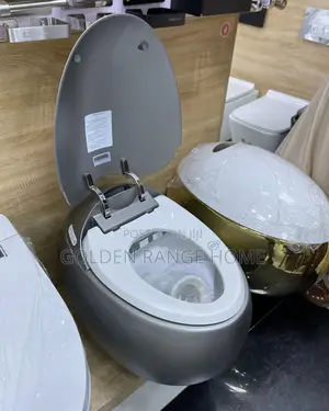 Egg Shape Smart Wc With Remote Control