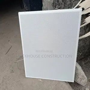 Perforated Expose Metal Ceilng
